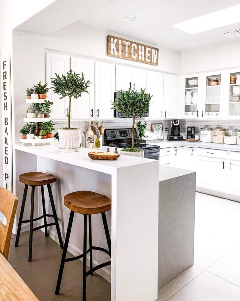 Houseplants in a U Shaped Kitchen With Peninsula
