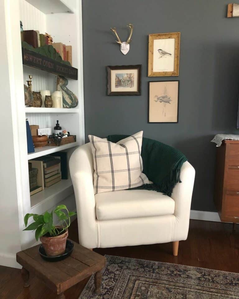 Comfy Corner Showcases Color Versatility