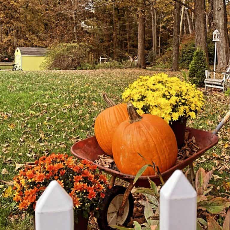 Rustic Autumn Garden Décor Ideas