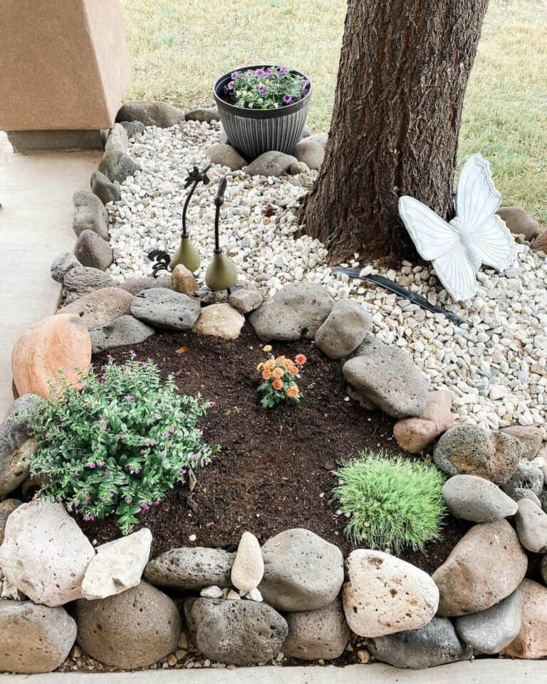 Scattered Plants in a Rock Garden