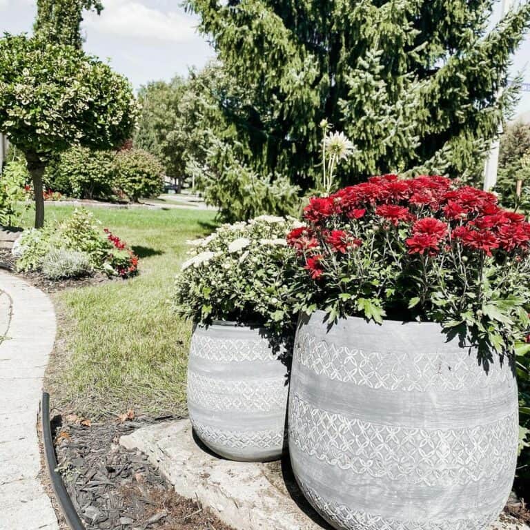 Stone Border Around Lawn and Garden