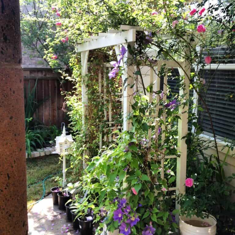Vibrant Flowers Mixed With Vines