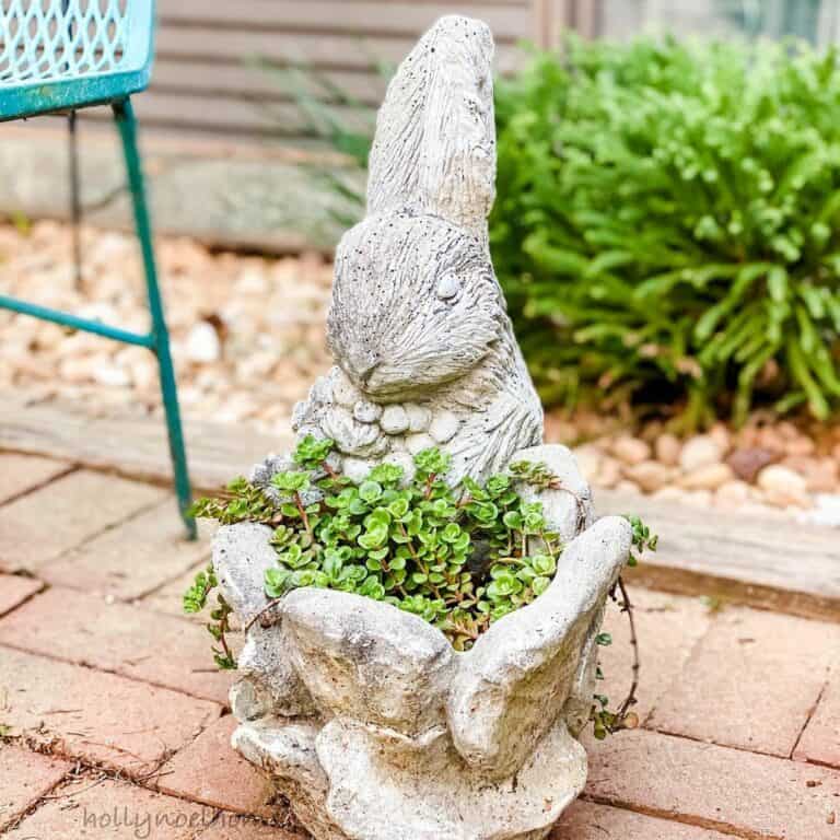 Bunny Planter on Brick Patio