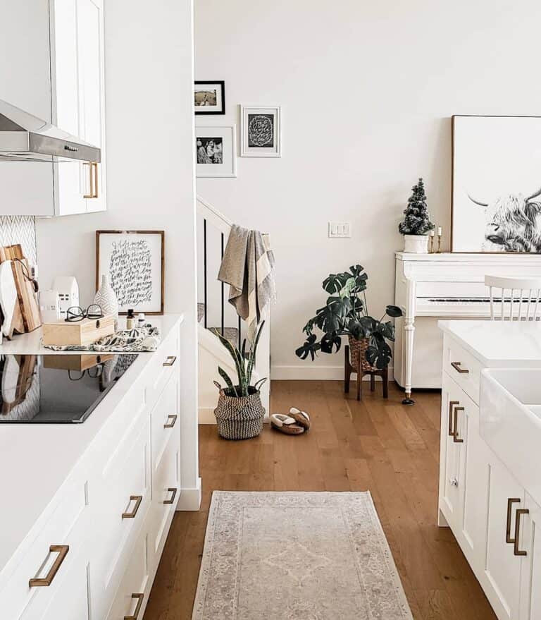 Modern Farmhouse Kitchen With Plant Décor
