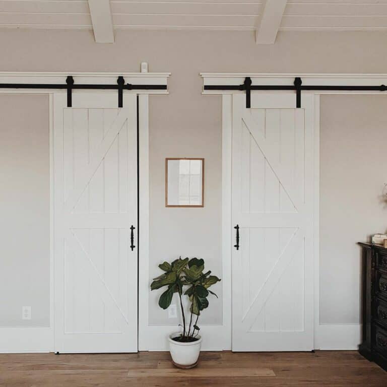 Thick and Thin White Barn Door Trim
