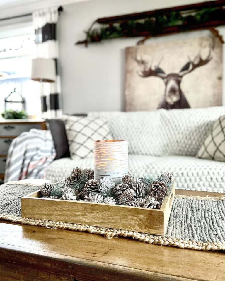 Pinecones as Coffee Table Centerpiece