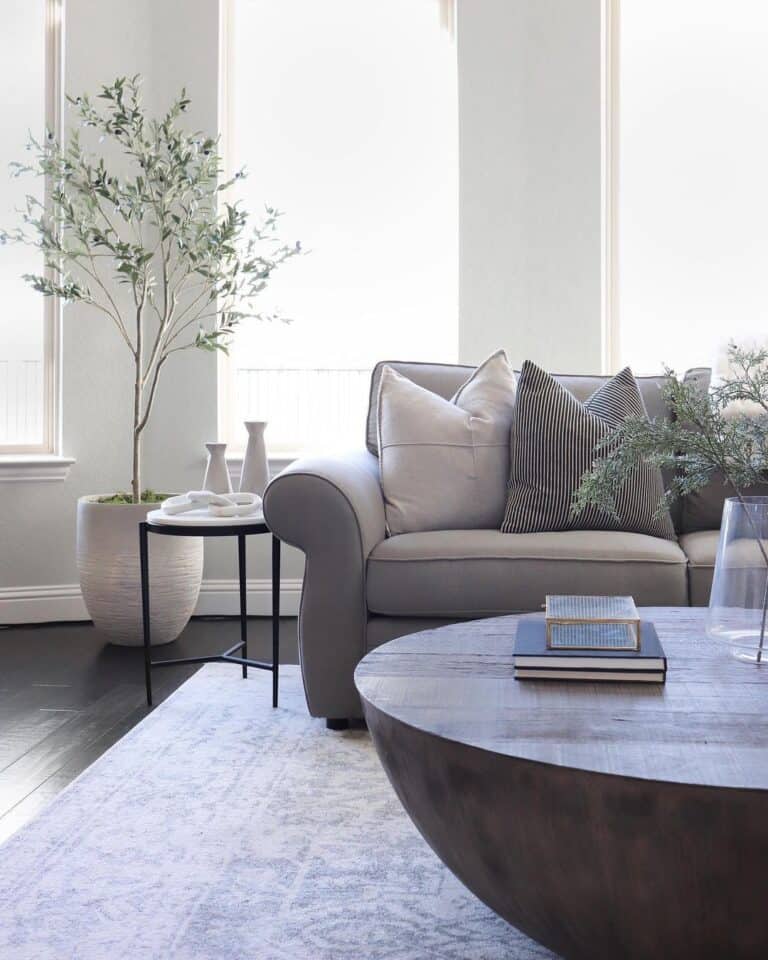 Dark Flooring and Potted Plant Living Room