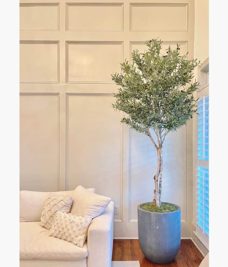 Full Wall Wainscoting and Artificial Tree