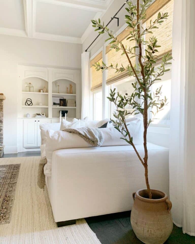 Terracotta Pot Next to White Sofa
