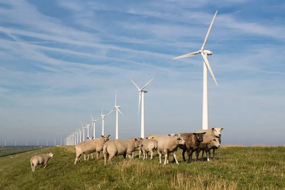 wind turbine cost