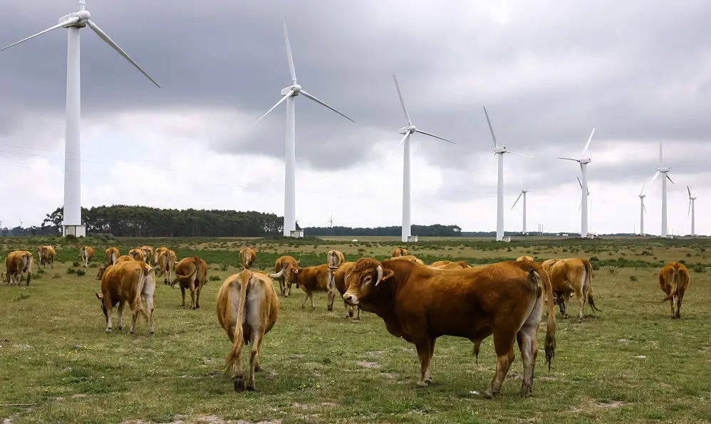 wind turbine farm land