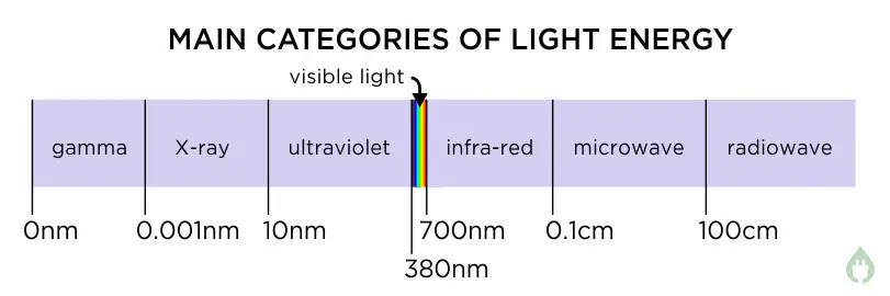 light energy categories