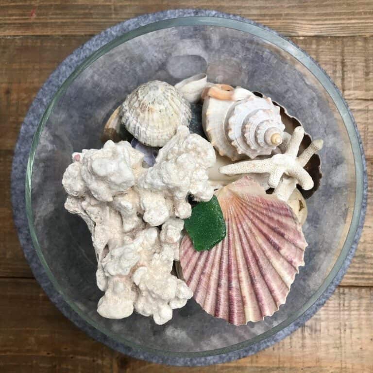 Farmhouse Living Room With Seashell Décor