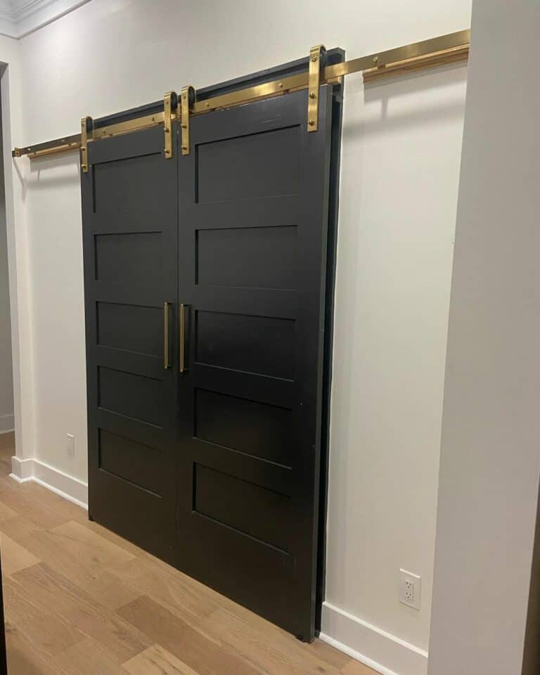 Gold Hardware on Black Sliding Doors