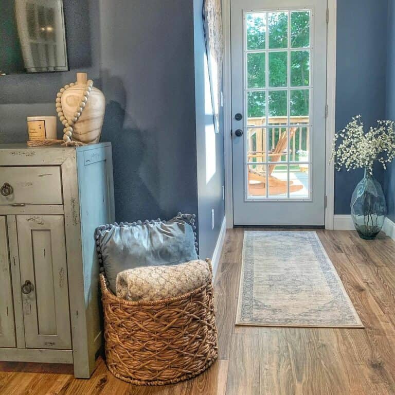 Narrow Entryway Ideas Showcasing Color