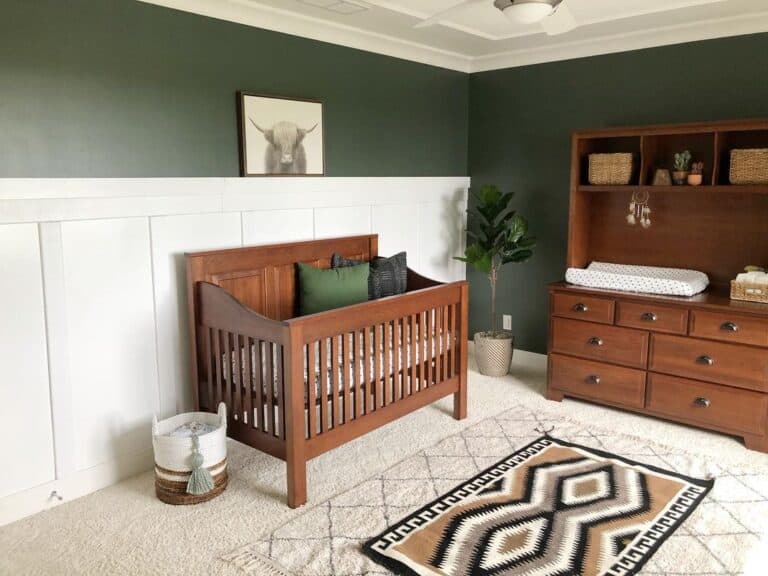 Earth Green Walls and Wood Furniture