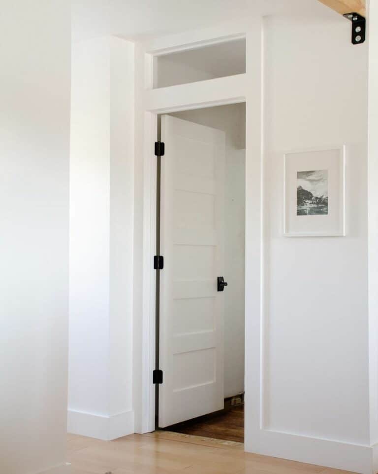 Elegant White Door Transom Windows