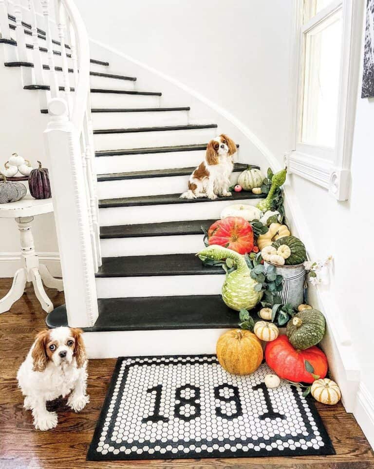 Winter Squash on Black and White Staircase