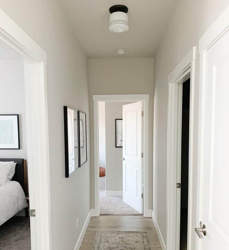 Black and White Hallway Light Fixture