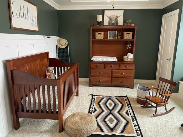 Southwestern Nursery Room Theme Ideas