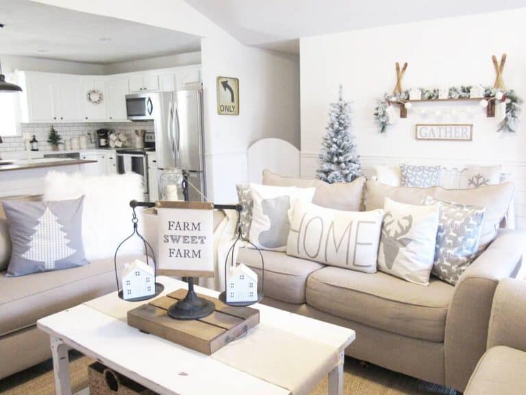 Blue and White Pillow Covers and Christmas Decor