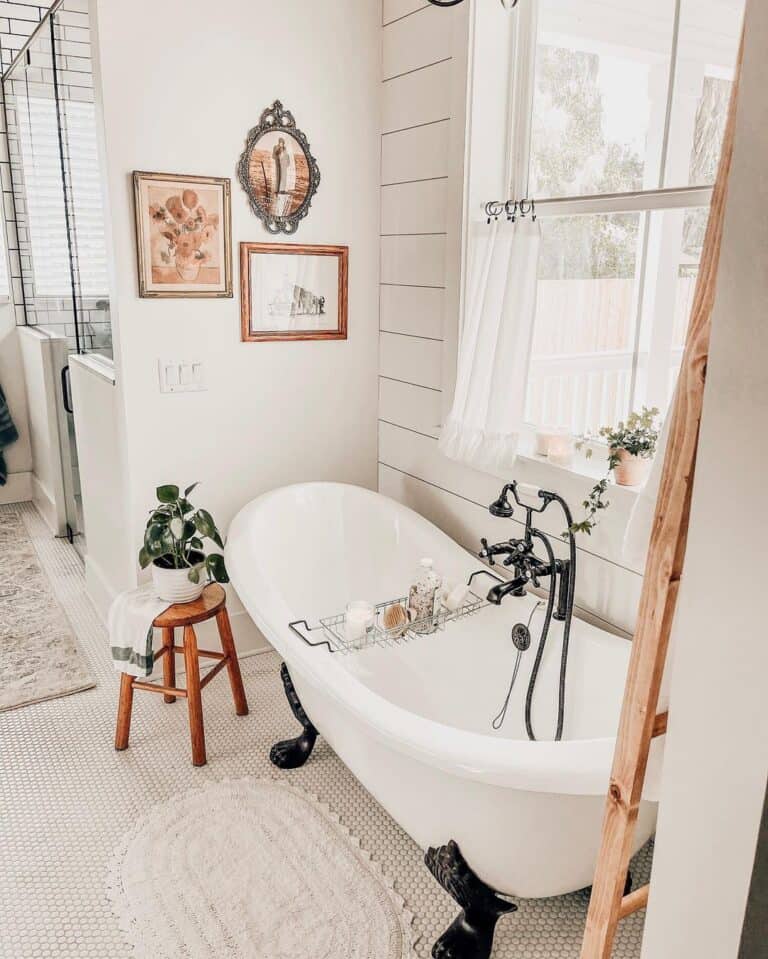 Stainless Steel Caddy on Black Claw Foot Bathtub